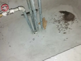 义马卫生间测漏水价格明细